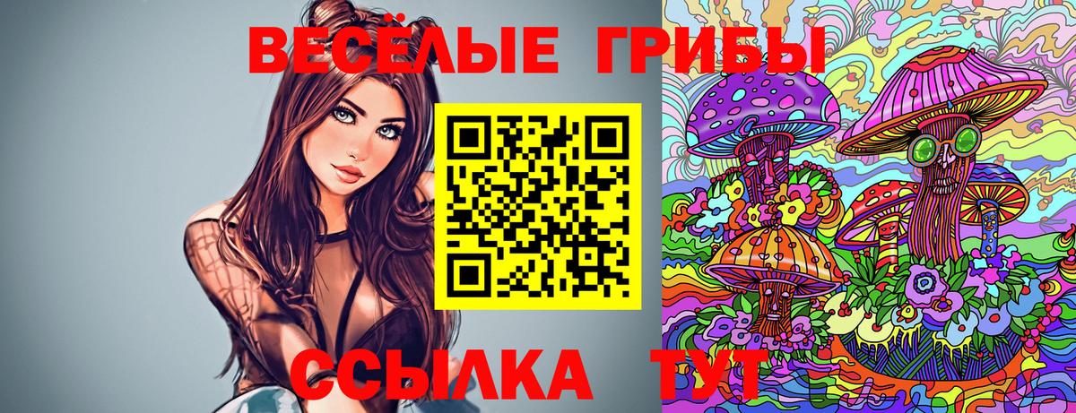 Галлюциногенные грибы Cubensis Люберцы