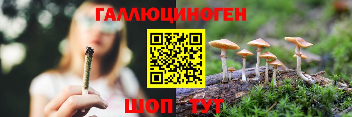 где продают наркотики  Вход с VPN  Псилоцибиновые грибы мухоморы  Люберцы  Галлюциногенные грибы Magic Shrooms 
